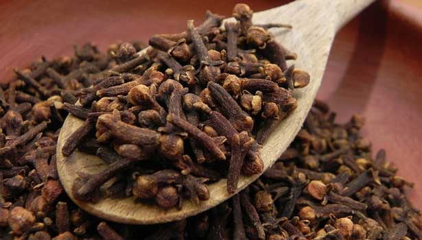 karampu cloves SECVPF