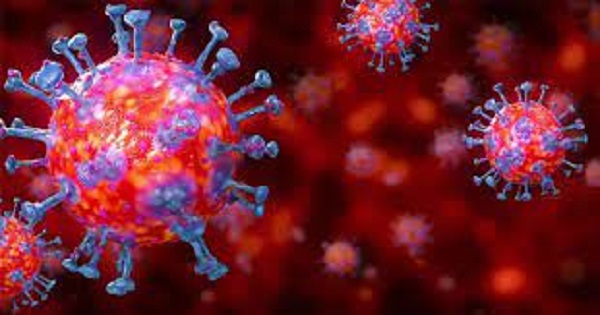 தொற்றிலிருந்து மேலும் 141 பேர் குணமடைந்தனர்!