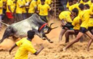 ஜல்லிக்கட்டு போட்டி நடத்த அனுமதி..தமிழக அரசு
