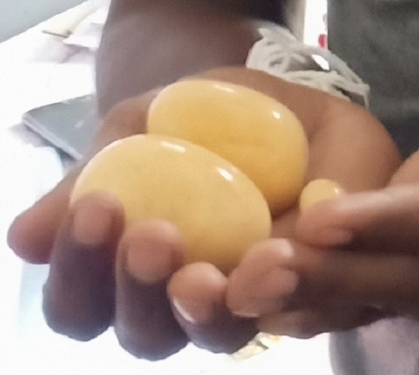 கஜமுத்து கடத்திச் சென்ற 2 பேர் கைது!