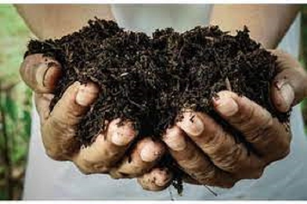 மீண்டும் சீனாவிடம் உரம் இறக்குமதி செய்யும் இலங்கை...