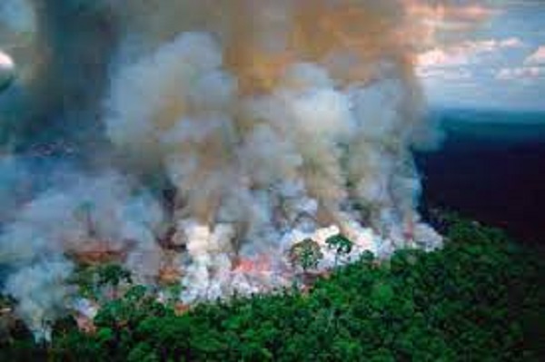 மலைநாட்டு பகுதிகளில் அதிகரிக்கும் காட்டு தீ... வெளியான தகவல்!