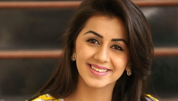 நிக்கி கல்ராணி வீட்டில் திருட்டு..!!