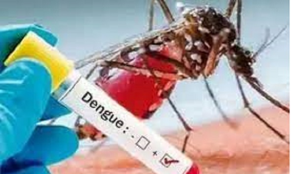 நாட்டின் பல பகுதிகளில் டெங்கு தீவிரம்!