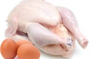 முட்டை மற்றும் கோழி இறைச்சியின் விலை குறைவு!