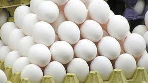 சடுதியாக குறைவடைந்த முட்டை விலை!