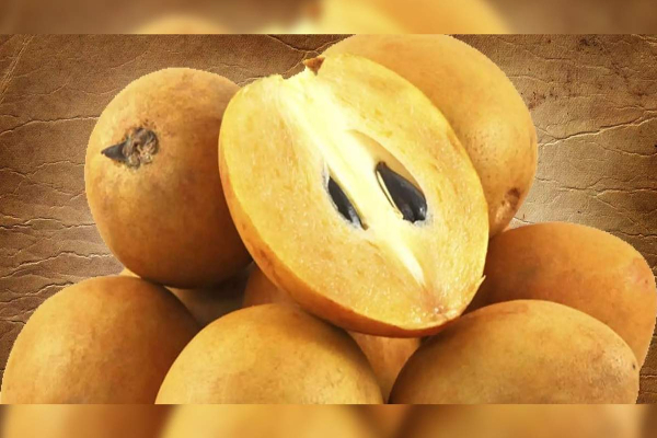 எதுவுமே பண்ணாம வனிதா பிக்பாஸ் வீட்டில் எதுக்கு? கொந்தளிக்கும் அனிதா..