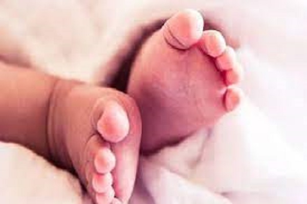 யாழ்ப்பாணத்தில் 5 மாத குழந்தையோடு தலைமறைவான கணவன்! தேடி அலையும் மனைவி..