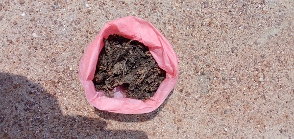 கஞ்சாவுடன் ஒருவர் கைது!