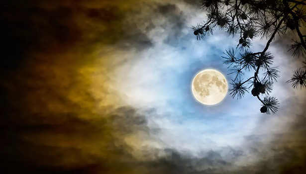 தமிழ் மாத பவுர்ணமி நாளின் சிறப்புகள்