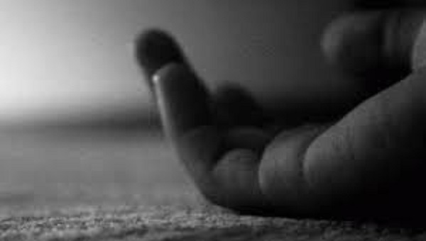 சட்டவிரோதமாக அமைக்கப்பட்ட மின்சார வேலியில் சிக்குண்டு இரு சிறுவர்கள் பலி!