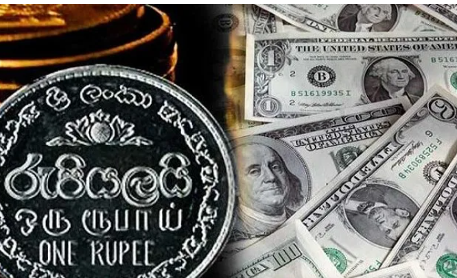 ரூபாயின் பெறுமதி மேலும் வீழ்ச்சி: டொலரின் பெறுமதி 282 ரூபாயாக அதிகரிப்பு