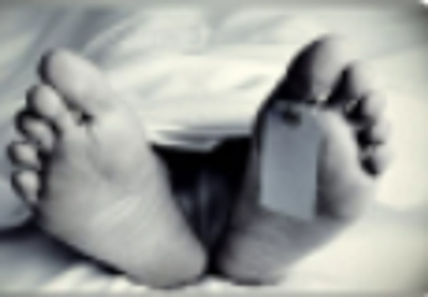 வீதியில் பாலம் ஒன்றை கடக்க முற்பட்ட சிறுவன் உயிரிழப்பு..!!