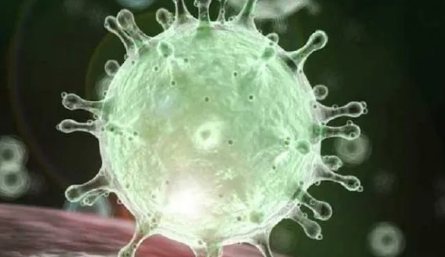 கொரோனா கட்டுப்பாடுகள் தமிழகத்தில்  நீக்கம்!