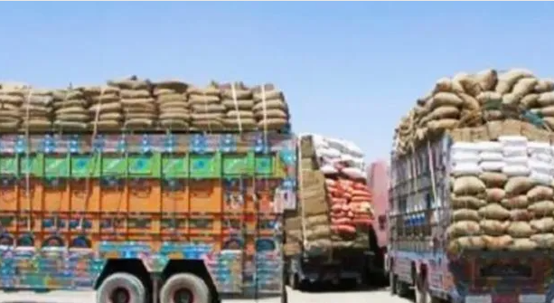 மனிதாபிமான அடிப்படையில் 10 ஆயிரம் டன் கோதுமையை ஆப்கானுக்கு வழங்க இந்தியா தீர்மானம்!