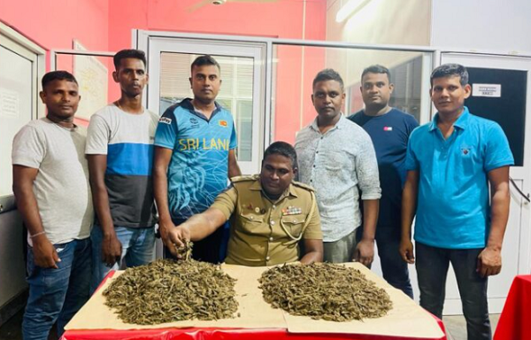 கேரள கஞ்சாவுடன் இருவர் கைது...!!