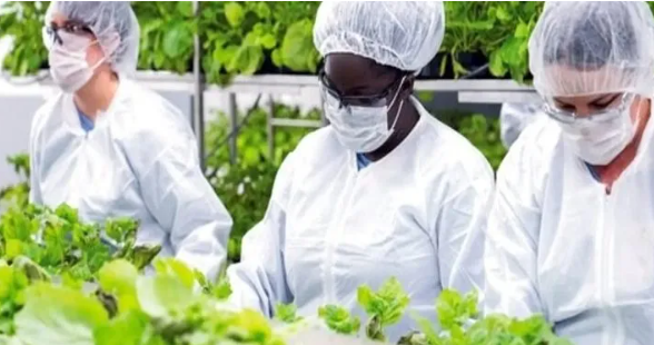 கொரோனாவுக்கு எதிரான தடுப்பூசி கண்டுபிடிப்பு!