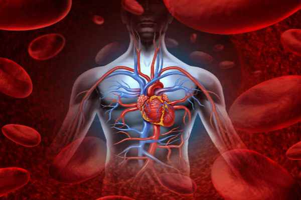 உடம்பில் ரத்தம் மிகவும் குறைவாக இருக்கின்றதா?