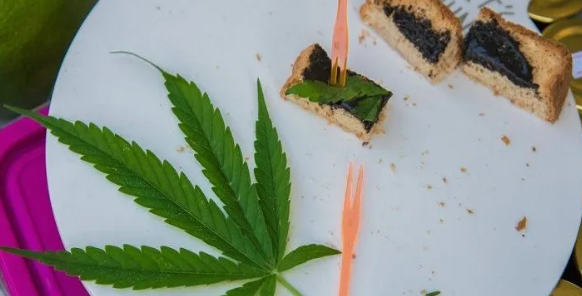 வீட்டில் கஞ்சா செடிகளை வளர்த்து விற்க தாய்லாந்து அனுமதி!