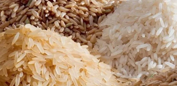 கடன் உதவித் திட்டத்தின் கீழ் 50 ஆயிரம் மெட்ரிக் தொன் அரிசியை இறக்குமதி செய்ய தீர்மானம்!