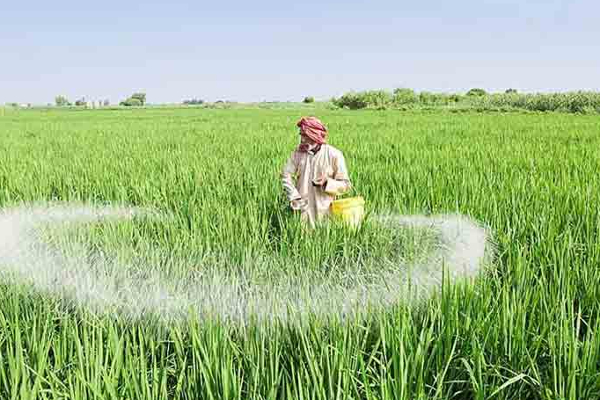 இந்தியாவினால் இலங்கைக்கு வழங்கப்படவுள்ள உரம் இன்னும் சில நாட்களில் இலங்கையை வந்தடையும்..!!