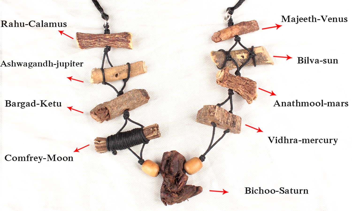 கிரகங்களுக்குரிய நவக்கிரக மூலிகைகள்