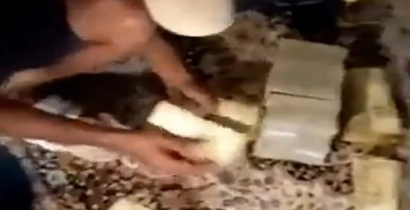 ஜனாதிபதியின் உத்தியோகபூர்வ இல்லத்தில் சொத்துக்களுக்கு சேதம் விளைவித்தார் கைது..!!