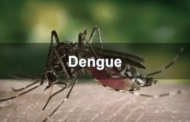 நாட்டில் டெங்கு நோயாளர்களின் எண்ணிக்கை அதிகரிப்பு..!!!
