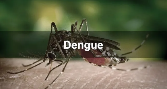 நாட்டில் டெங்கு நோயாளர்களின் எண்ணிக்கை அதிகரிப்பு..!!!