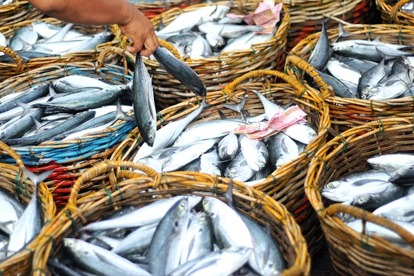 உணவுப் பொருட்களின் விலை சடுதியாக குறைவு.!!