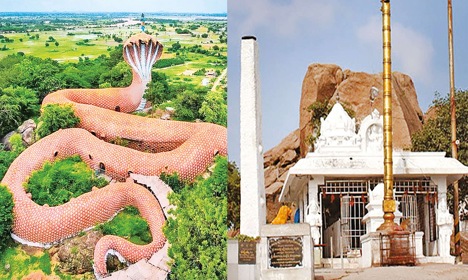 பிரமிப்பை ஏற்படுத்தும் பாம்பு கோவில்