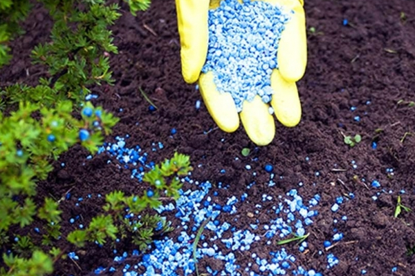 சர்ச்சைக்குரிய கரிம இரசாயன உரங்களை வழங்க சீன நிறுவனம் மறுப்பு