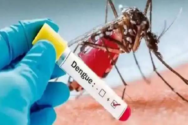 கடுமையான காய்ச்சல் ஏற்பட்டால் வைத்திய ஆலோசனைகளை பெறவும்..!!!!