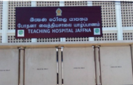 TikTok க்கினால் பாதிப்புக்குள்ளாகும் மாணவர்கள்- யாழ்.போதனாவில் 16பேருக்கு உளவியல் சிகிச்சை!