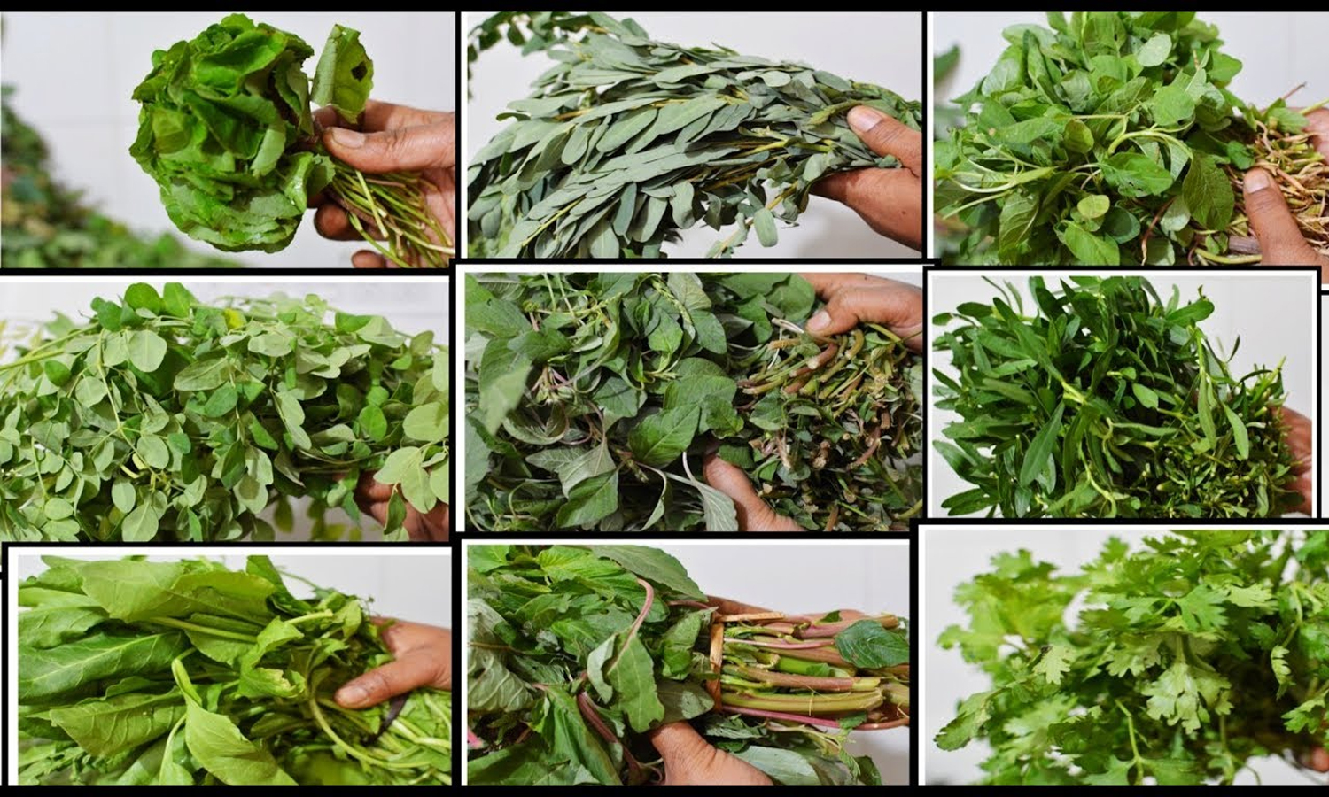 கீரைகளும்.. பயன்களும்..