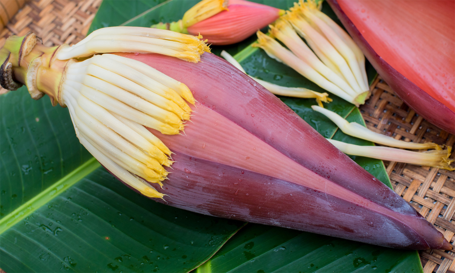 ரத்த ஓட்டத்தை சீராக்கும் வாழைப்பூ
