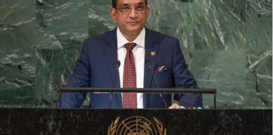 டேவிட் மைக்கினன் உள்ளிட்டோரை சந்தித்தார் அலி சப்ரி !