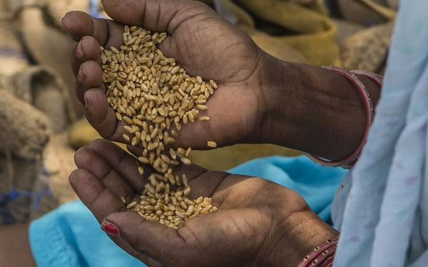 இலங்கையில் 5.7 மில்லியன் மக்களுக்கு மனிதாபிமான உதவிகள் தேவை -ஐக்கிய நாடுகள்