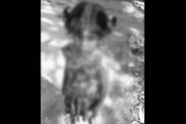 சிறுமியை கொடூரமாக தாக்கிய தந்தை வழங்கிய வாக்குமூலம்!