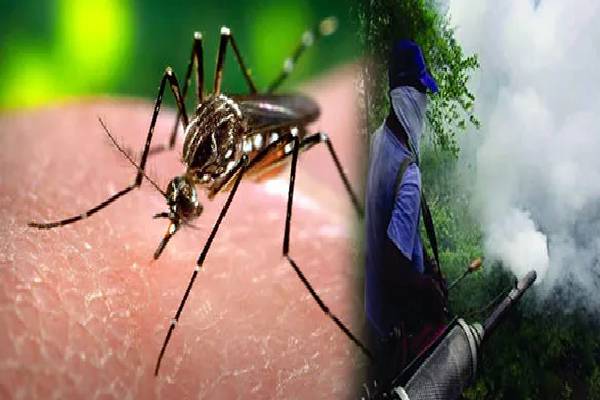 07 மாகாணங்கள் டெங்கு அபாய வலயங்களாக அறிவிப்பு