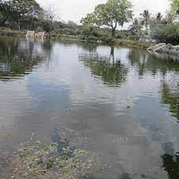 செம்மணி குளத்தில் மீன்பிடித்த இளைஞன் மாயம்..!!