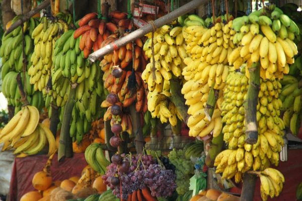 பொருளாதார நெருக்கடியில் சிக்கியுள்ள இலங்கையின் தலையெழுத்தை மாற்றப் போகும் வாழைப்பழம்