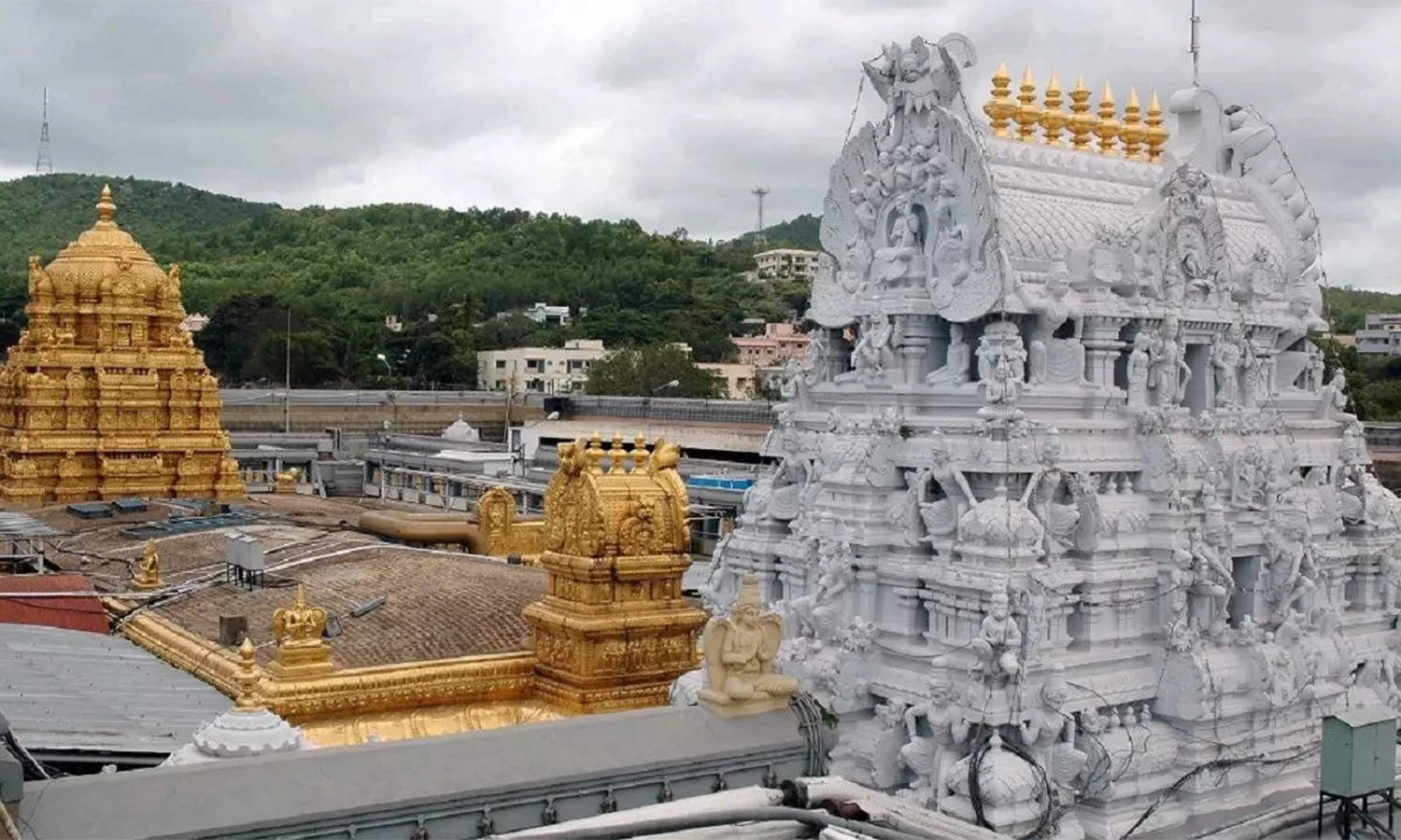 திருமலையில் இன்று கார்த்திகை வன போஜனம்