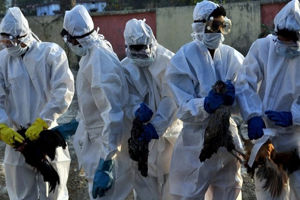 பிரித்தானியாவில் மிகப் பெரும் நோய் பரவல்