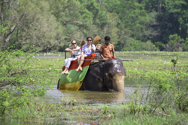 பெருமளவு அந்நிய செலவணியை ஈட்டும் துறைக்கு ஆபத்து