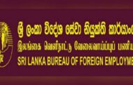 2014 ஆம் ஆண்டு முதல் கட்டாரில் பணியாற்றிய 343 இலங்கை தொழிலாளர்கள் உயிரிழந்துள்ளனர் – வெளிநாட்டு வேலைவாய்ப்பு பணியகம்