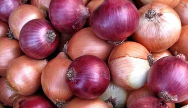 இறக்குமதி செய்யப்படும் வெங்காயத்தின் விலையில் வீழ்ச்சி