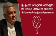 ஜனாதிபதியின் முடிவால் கடும் அதிருப்தியில் சிரேஷ்ட உறுப்பினர்கள்!