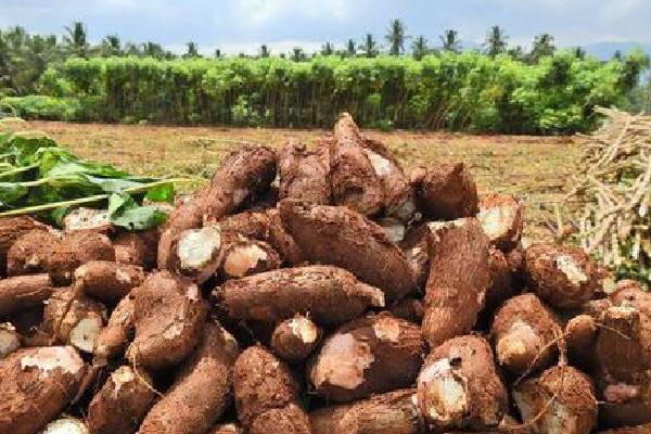 இலங்கை மக்களுக்கு மற்றுமொரு சிக்கல்!