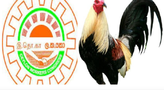 சேவல் சின்னத்தில் களமிறங்குகின்றது இலங்கை தொழிலாளர் காங்கிரஸ்?